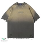 Distressed Crop T Shirt