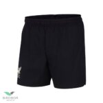Soccer Shorts 13